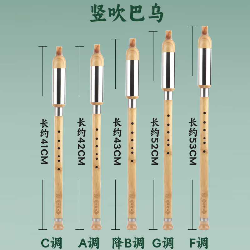 巴乌乐器楠竹竖吹g调f调c调降b调儿童小学生8孔成人初学入门巴乌 - 图1