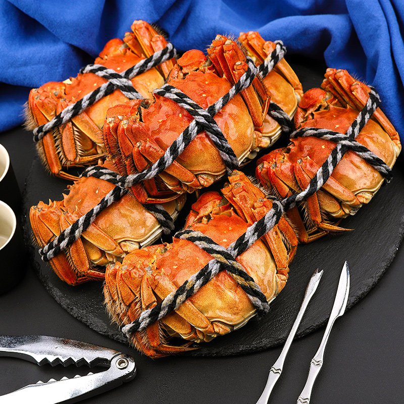 【活蟹】大螃蟹4.1-4.5两公6只现货鲜活残蟹大闸蟹特大版河蟹包邮,淘宝优惠券,粉丝福利购,淘宝优惠卷