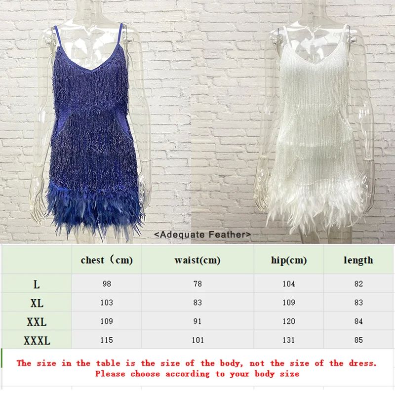 Plus Size Women Sequins Tassel Feather Dress 2023 Autumn Win - 图2