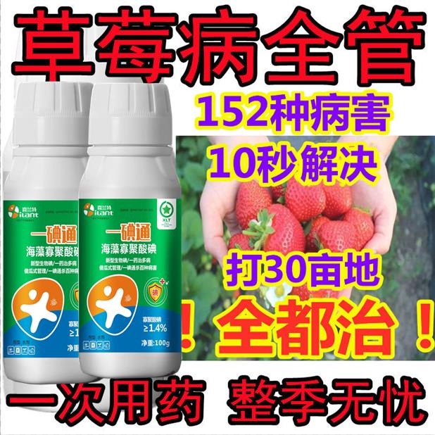 草莓病全治草莓根腐病草莓斑点病草莓病专用药病套餐-图0