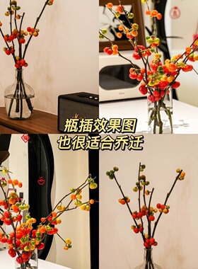 福运仿真小南瓜客厅餐桌玄关吉祥装饰品拍摄道具干花中古摆件花艺