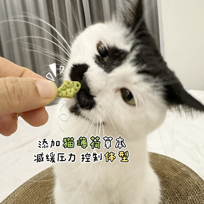 大胖商店 益和猫薄荷饼干猫零食成猫幼猫磨牙洁齿猫咪互动零食 - 图1