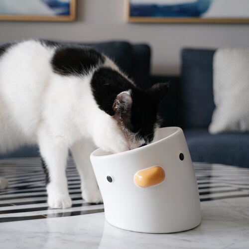 大胖商店 PURROOM小鸡陶瓷护颈猫碗防黑下巴斜口食盆防打翻水杯 - 图2