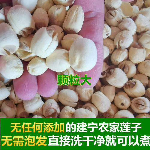 今年正宗建宁白莲子干货大颗粒500g福建三明特选级通芯无芯莲子 - 图1