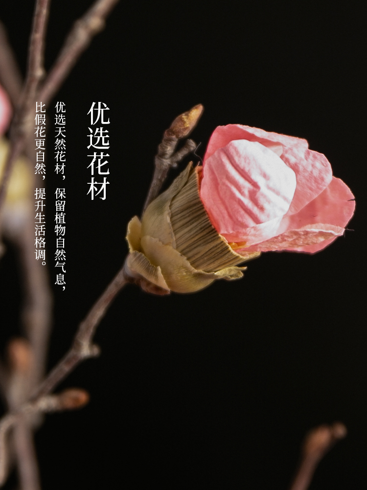 干枝梅花真花风干天然花束客厅摆设高端旺财干花酒柜装饰摆件腊梅-图2