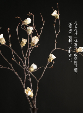 梅花干枝天然中式禅意摆放