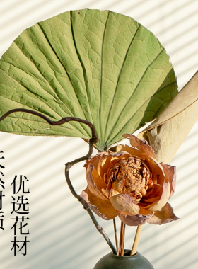 干花花束客厅摆设高级感真花风干天然高端侘寂风插花干枝装饰摆件