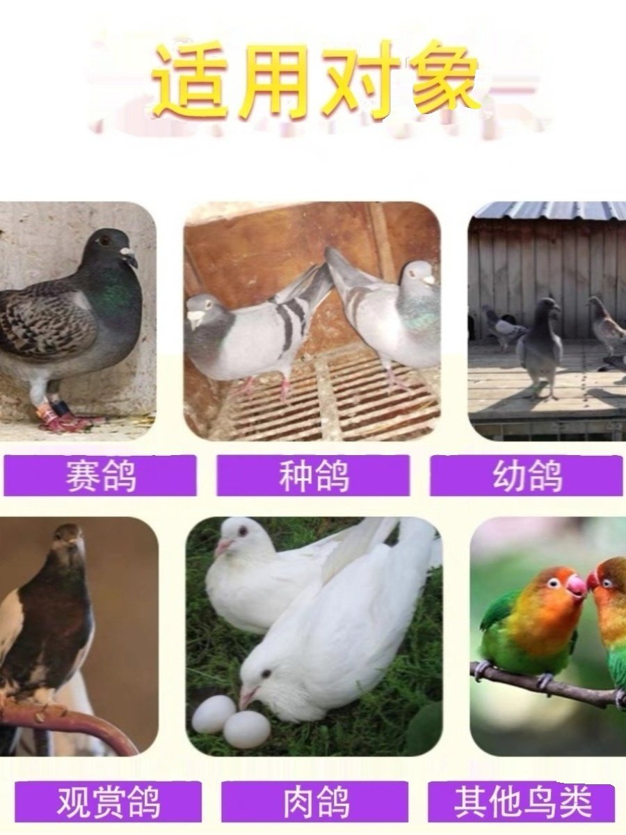 汉诺威活菌酵素原液鸽子保健品营养品赛鸽鹦鹉调理肠道鸟用益生菌,淘宝优惠券,粉丝福利购,淘宝优惠卷