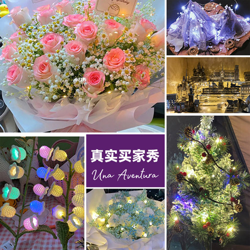 铜线灯小彩灯串灯闪灯满天星led灯条节日氛围花束装饰灯带diy礼物 - 图1