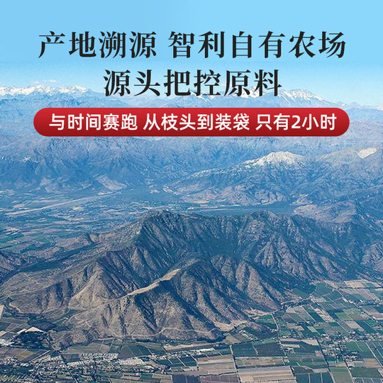 Shimi Chuxiang dried cherries 40g