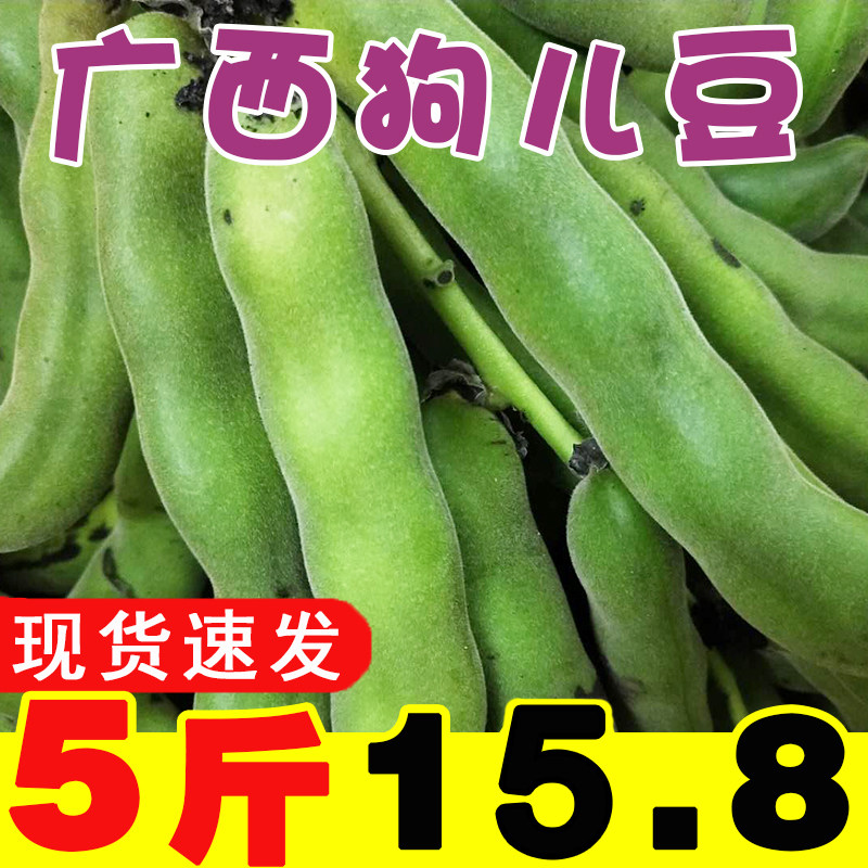 猫猫豆-新人首单立减十元-2021年10月淘宝海外