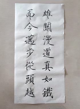 瘦金体江湖体秾芳诗帖书法代写