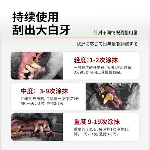 KOJIMA宠物洁牙笔猫咪狗狗口腔清洁牙齿口臭牙垢牙菌斑牙结石适用 - 图1