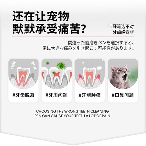 KOJIMA宠物洁牙笔猫咪狗狗口腔清洁牙齿口臭牙垢牙菌斑牙结石适用 - 图0