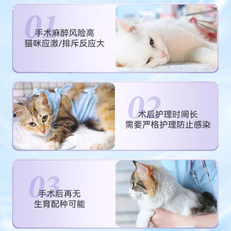 猫咪发情抑制药母猫专用禁情液抑制猫发情的药公猫非药绝育抑情片 - 图1