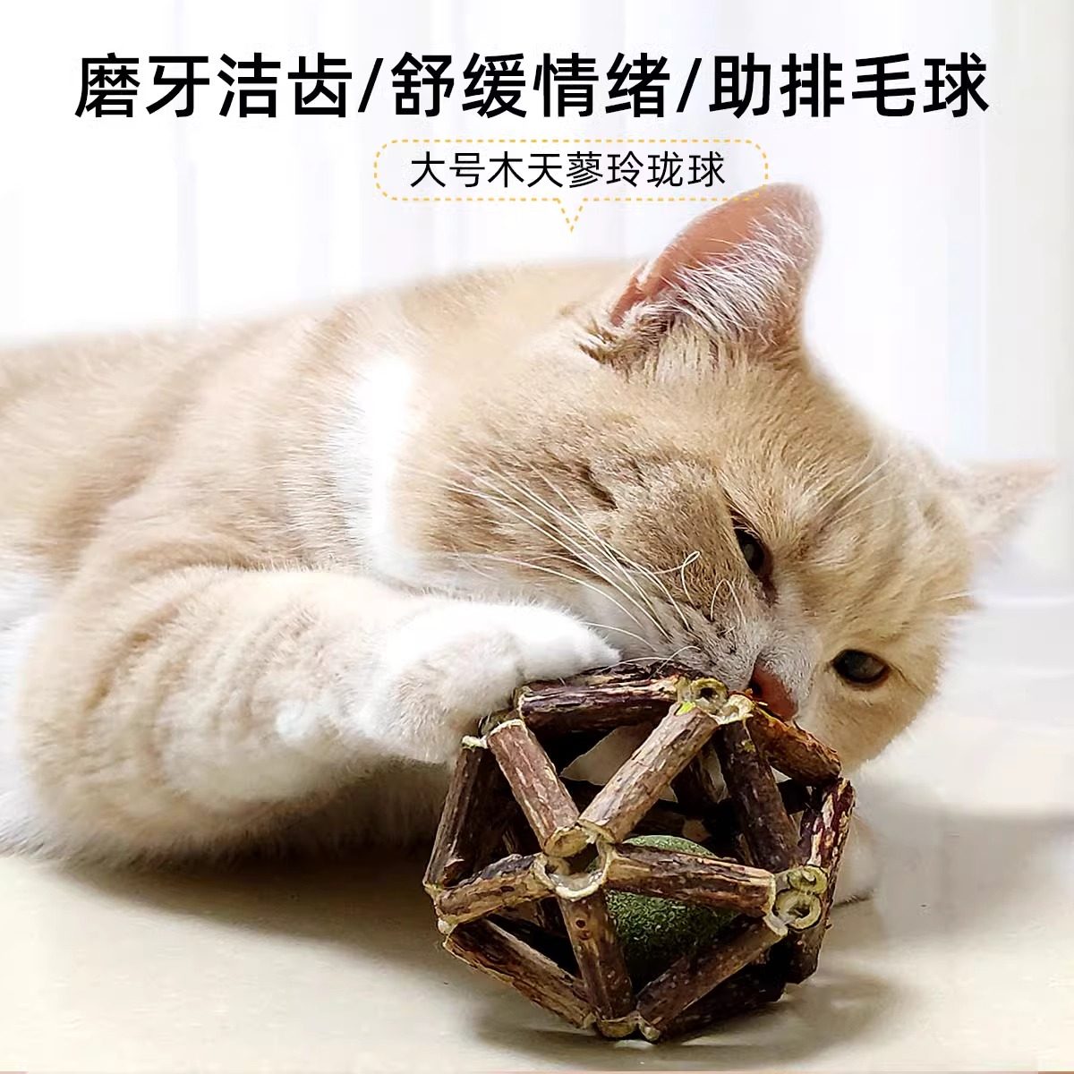 猫玩具逗猫棒猫薄荷木天蓼小猫自嗨解闷神器耐抓耐咬磨牙棒发声,淘宝优惠券,粉丝福利购,淘宝优惠卷