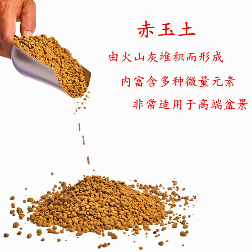流泉枫专用土枫树赤玉土风化土风化石颗粒土酸性土红土专用肥玉肥 - 图2