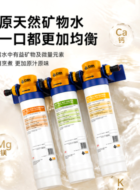 【欧洲进口】德国水丽直饮厨下净水器家用台下式自来水过滤