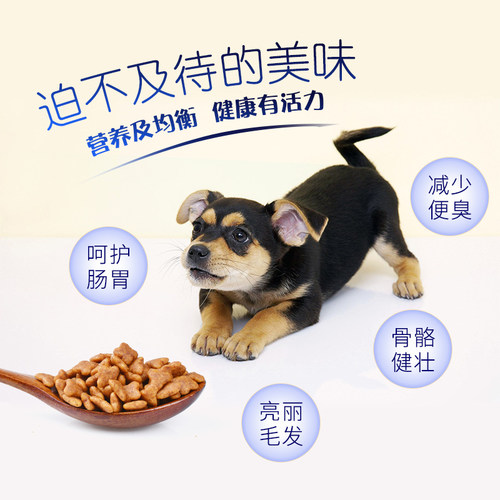 嘉露幼犬狗粮10kg牛肉味哈士奇金毛萨摩耶阿拉斯加奶糕成犬粮20斤 - 图3