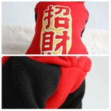 Шесть лет -магазин 18 цветов щенка для собачьей одежды Новая годоватая осень и зимняя инсталляция Теддибури Снежные зимние животные кошки поклоняются новым годованию маленькой собаки праздничный