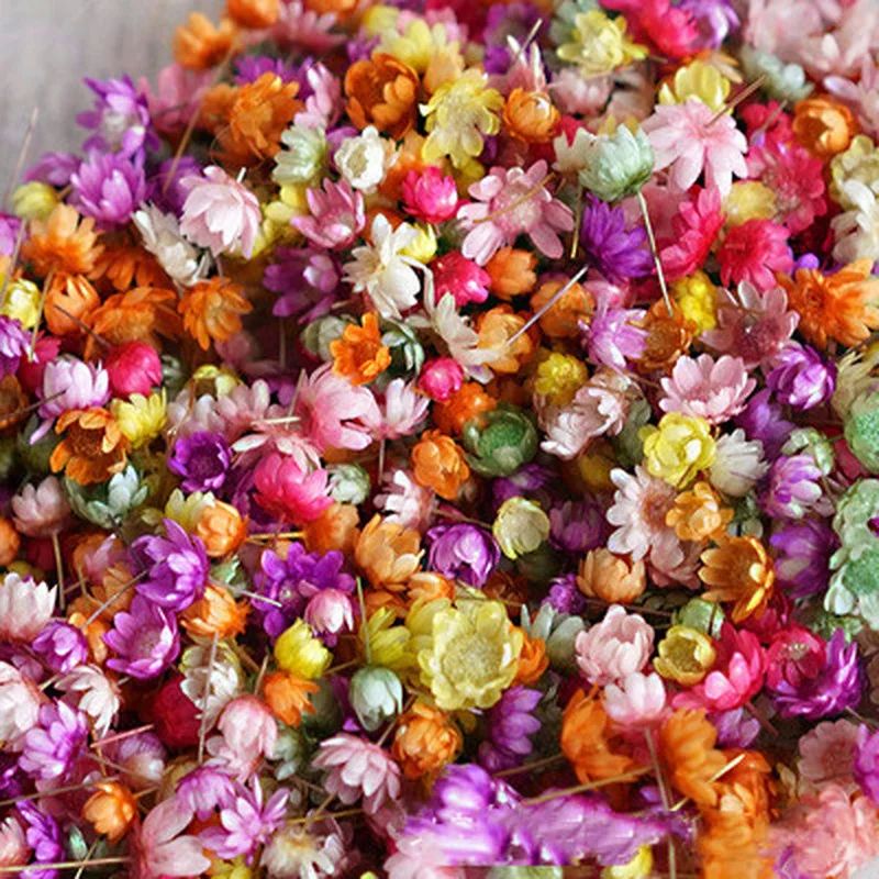 140Pcs/Bag Dried Flowers Diy Art Craft Epoxy Resin Candle Ma - 图0