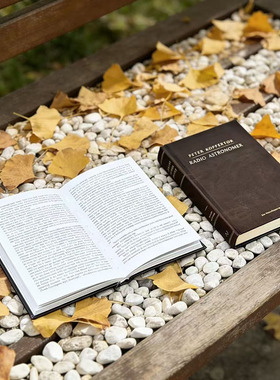 样板房装饰书北欧欧式复古皮质封面装饰摆件展厅书房客厅拍摄道具