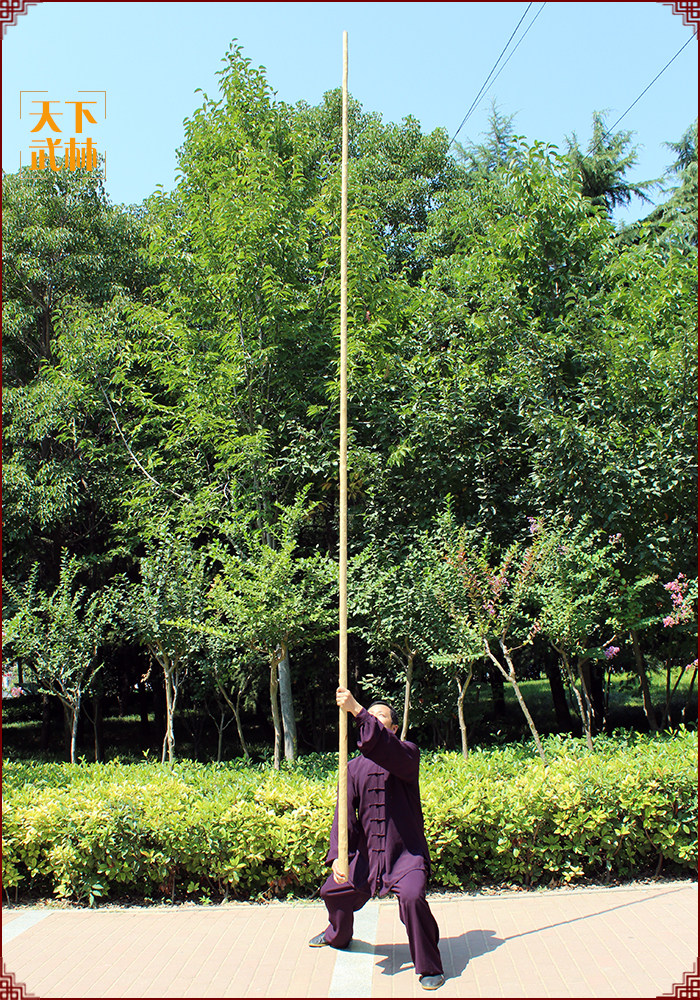 白蜡杆太极大杆武术棍白蜡杆大枪杆少林棍长4米武术器械带黄皮杆_虎窝淘
