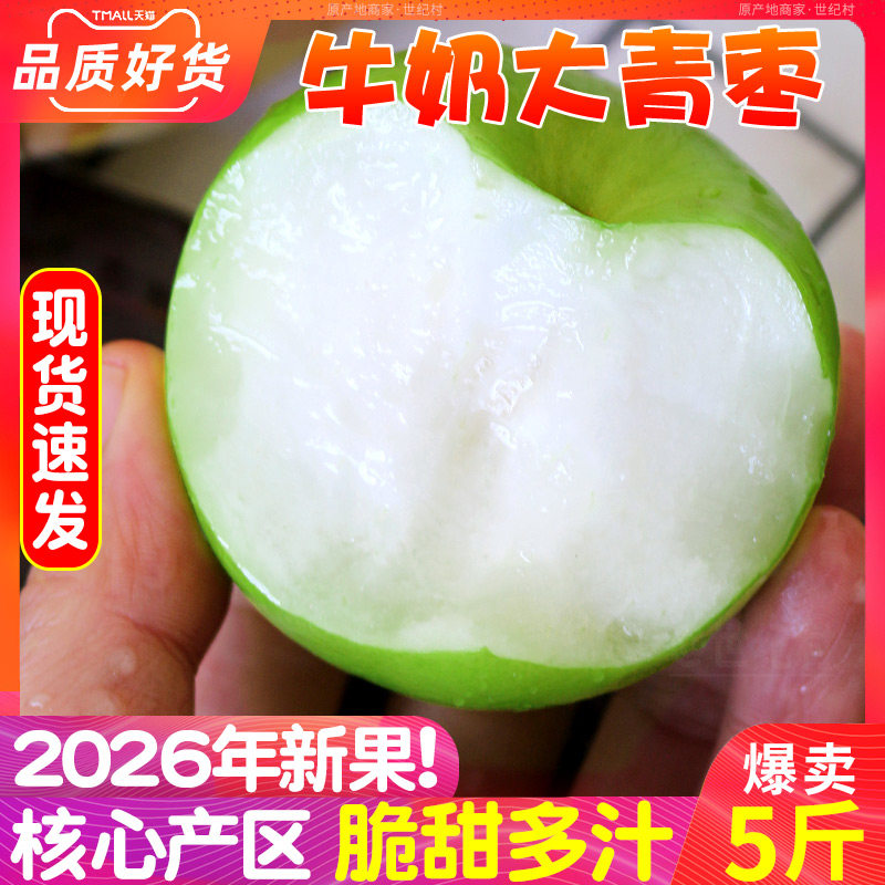 现货福建牛奶枣大青枣5斤新鲜冬枣贵妃鲜枣水果脆枣子非苹果东枣,淘宝优惠券,粉丝福利购,淘宝优惠卷