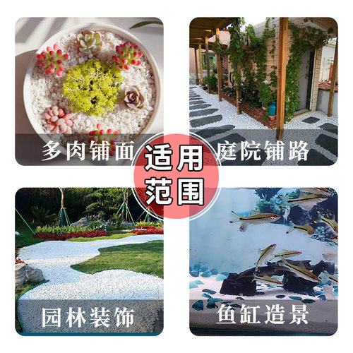 白色石子天然石头鹅卵石多肉铺面石盆栽花盆庭院鱼缸造景园艺装饰 - 图2