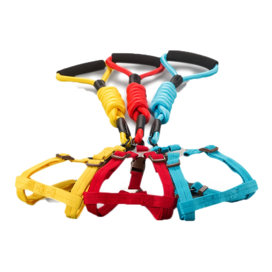 Dog leash, dog chain, harness, dog leash