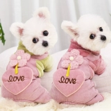 Щенок с четырьмя легкими одежды Осень и Зимние животные кошки, чем медведь плюшевые маленькие щенки Новый год зимний хлопок