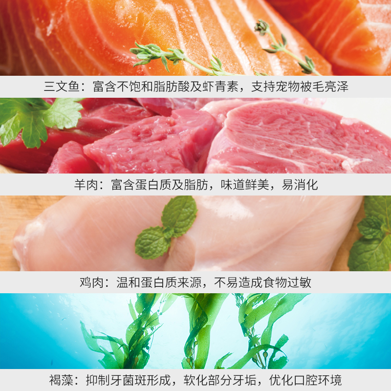 老龙推荐 比乐狗粮拉布拉多金毛中大型成犬通用低敏无谷10kg优惠券