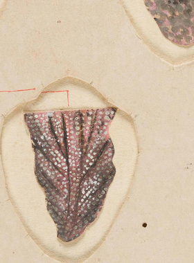 舌相图中医馆诊所挂画唇相装饰画