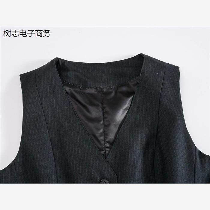 女士马甲2020新款农业银行女款坎肩职业装工作服灰绿条纹行服