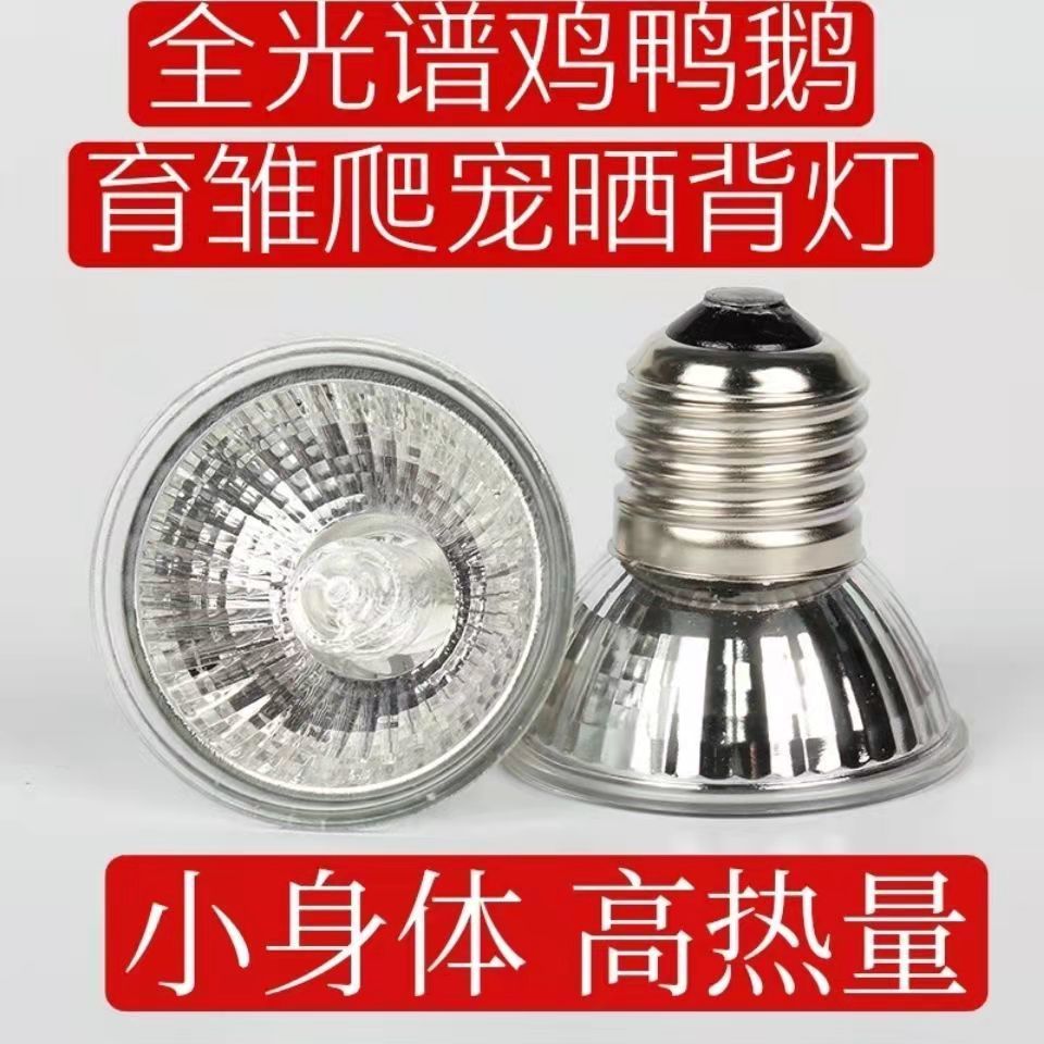 加热取暖灯芦丁鸡爬虫杀菌照明育雏用灯泡25瓦50瓦75节能鸡孵化灯,淘宝优惠券,粉丝福利购,淘宝优惠卷