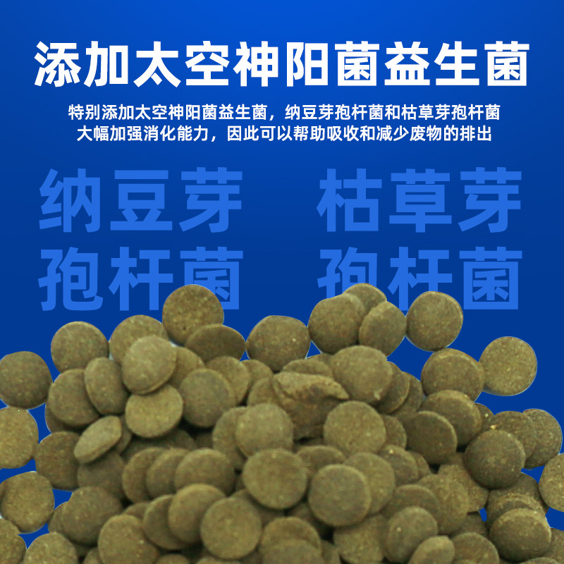 大黑天底栖鱼底层鱼异形鱼饲料鼠鱼胡子鱼清道夫下沉沉底神阳鱼粮 - 图2