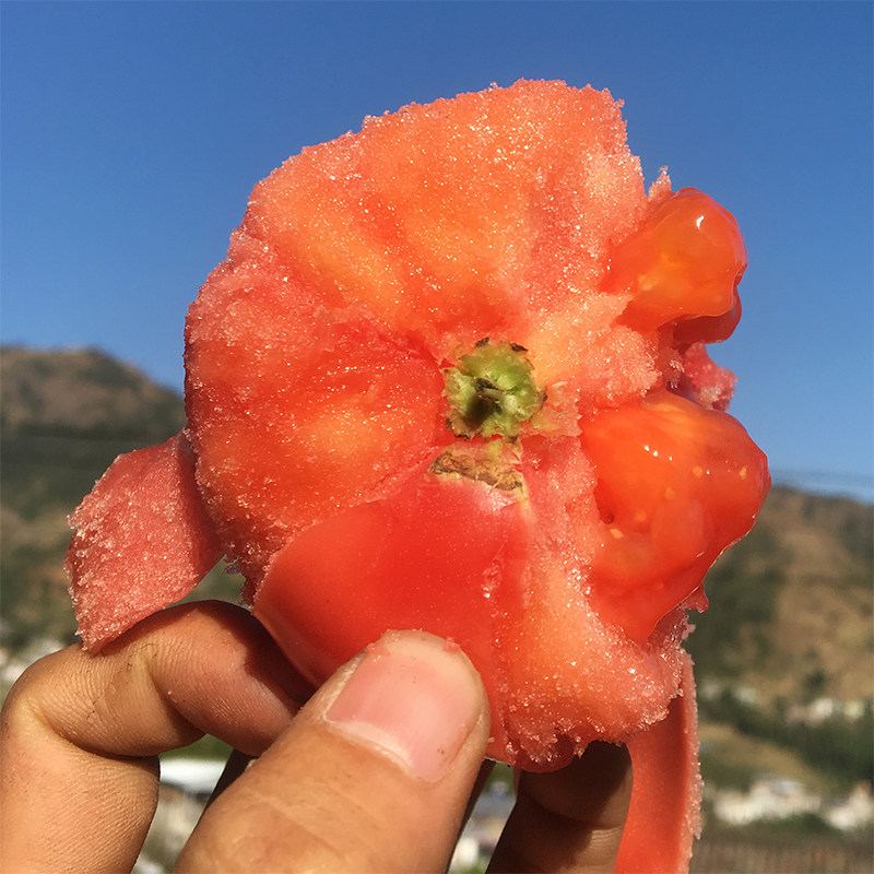 【欧会长甄选】攀枝花米易生吃番茄沙瓤西红柿新鲜蔬菜5斤包邮,淘宝优惠券,粉丝福利购,淘宝优惠卷