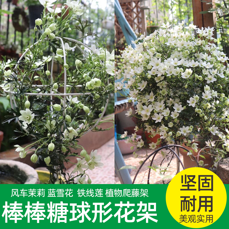 棒棒糖花架球形支架风车茉莉爬架花蓝雪花爬藤支架月季花支撑架子-图1