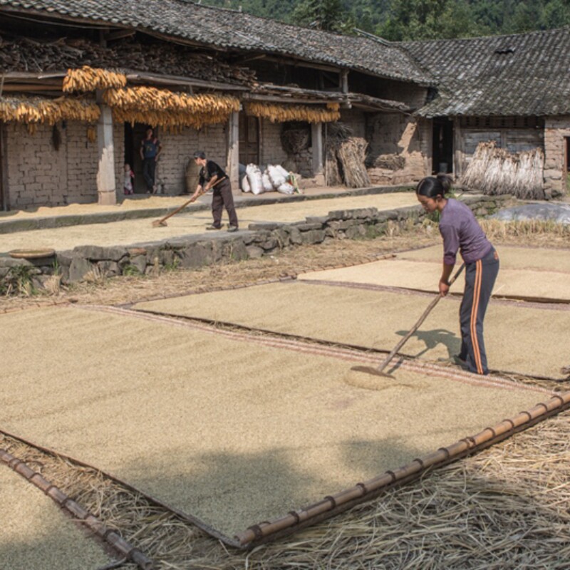 晒谷席晒稻谷神器工具铺地晾玉米竹席子晒茶叶东西竹编包边摊酒糟,淘宝优惠券,粉丝福利购,淘宝优惠卷