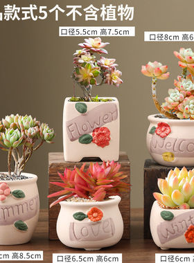 香缘多肉绿植花盆大口径粗陶透气