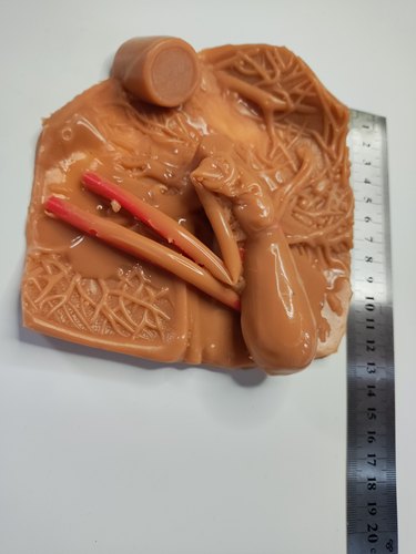 肝胆囊床外科腹腔镜模拟训练练习缝合剪切剥离模块模型 - 图3