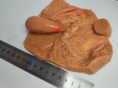 肝胆囊床外科腹腔镜模拟训练练习缝合剪切剥离模块模型 - 图0