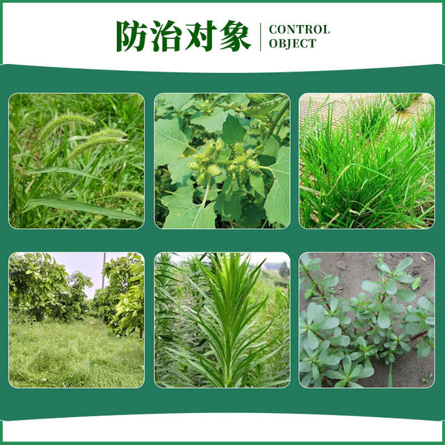 Moshangjing herbicide 10% refined glufosinate ammonium phosphate