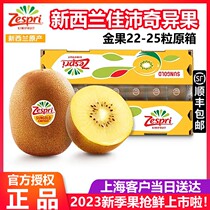 New Zealands Jiapai zespri sunshine golden fruit kiwifruit 22-25#进口黄心猕猴桃原箱礼盒