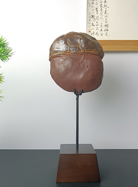 铁艺创意艺术奇石支架
