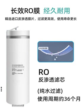 适配大信净水器滤芯 600G大流量无桶纯水冷热一体机家用滤芯