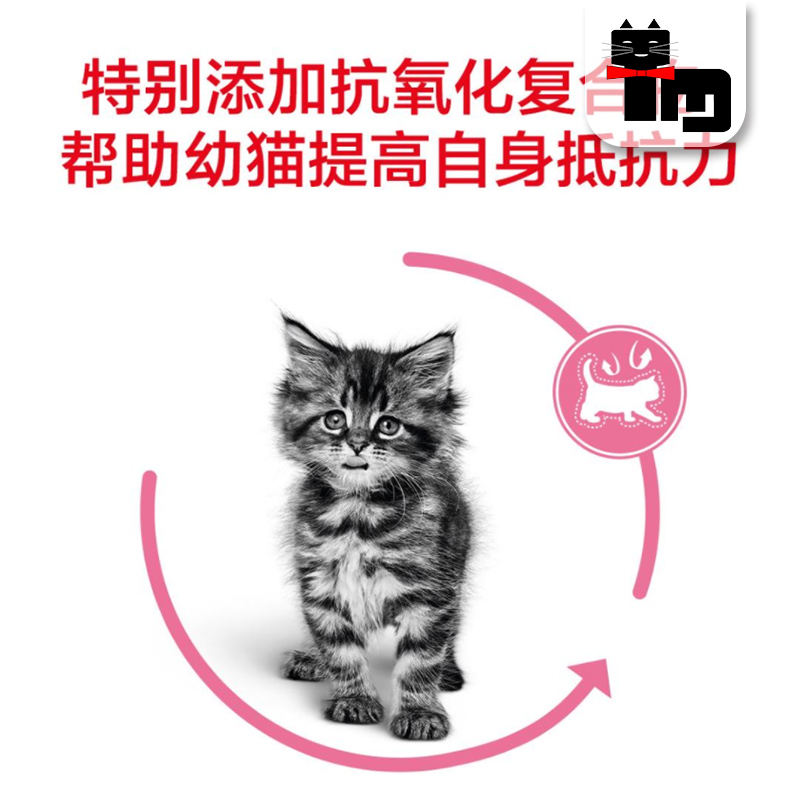 土猫宠物国产皇家BK34猫奶糕离乳k36幼猫粮断奶猫粮英短美短布偶-图2