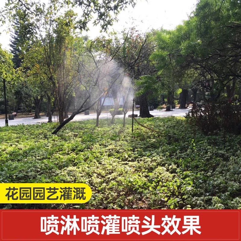 雾化喷雾喷头绿化草坪喷灌屋顶喷淋浇水360度旋转园林灌溉洒水器 - 图0