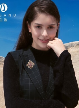 兰盈奥地利皇冠水晶胸针轻奢小众