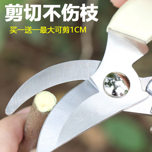 德国不锈钢强力园林园艺修枝剪清仓家用省力修花修剪树枝花艺剪刀 - 图3